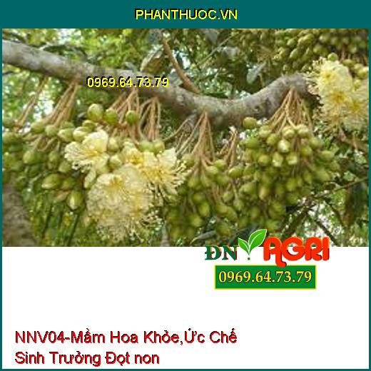 PHÂN BÓN NNV04 –Xử Lý Hoa Trái Vụ, Mầm Hoa Khỏe, Ức Chế Sinh Trưởng Đọt non