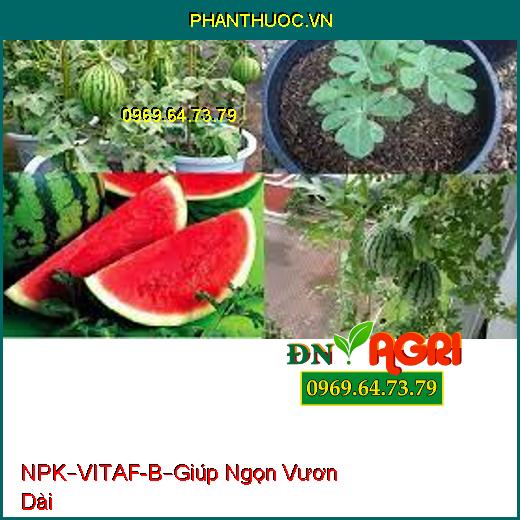 PHÂN BÓN HỖN HỢP NPK–VITAF-B – HẠN CHẾ NGHẼN ĐẦU LÂN-Giúp Ngọn Vươn Dài