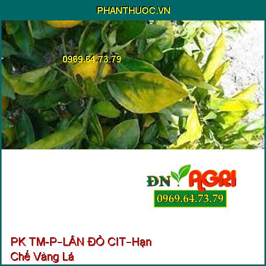 PHÂN PK TM-P – LÂN ĐỎ CIT –Hạn Chế Bệnh Vàng Lá, Cung Cấp Hàm Lượng Lân Kali