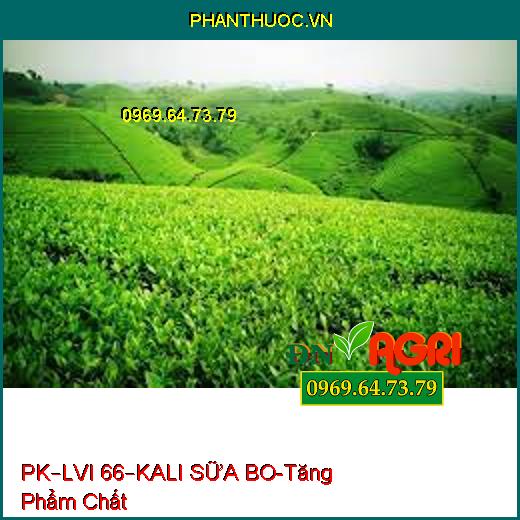 PHÂN BÓN HỖN HỢP PK – LVI 66 – KALI SỮA BO-Gia Tăng Phẩm Chất, Kháng Sâu Bệnh