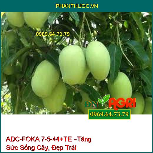 PHÂN BÓN LÁ NPK BỔ SUNG VI LƯỢNG ADC-FOKA 7-5-44+TE –Tăng Sức Sống Cây, Đẹp Trái