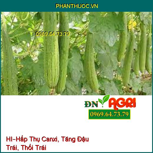 PHÂN BÓN LÁ HỮU CƠ KHOÁNG CAO CẤP HI –Hấp Thụ Canxi, Tăng Đậu Trái, Thối Trái