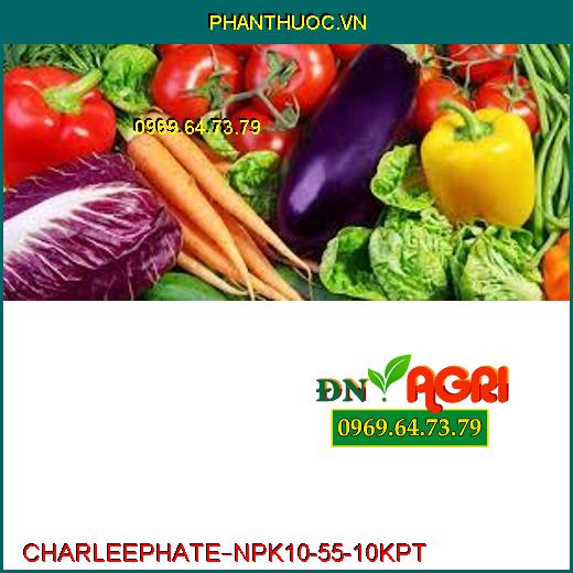 PHÂN BÓN LÁ CAO CẤP CHARLEEPHATE – NPK 10-55-10 KPT –Bung Chồi Cực