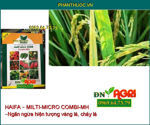 PHÂN BÓN VI LƯỢNG HAIFA – MILTI-MICRO COMBI-MH –Ngăn Ngừa Cháy Lá Sớm, Rụng Hoa