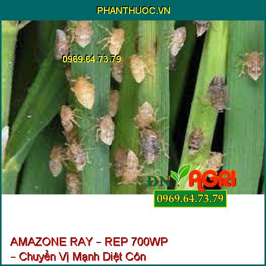 AMAZONE RAY – REP 700WP – Chuyển Vị Mạnh Diệt Côn Trùng