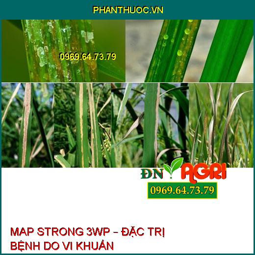 MAP STRONG 3WP – ĐẶC TRỊ BỆNH DO VI KHUẨN