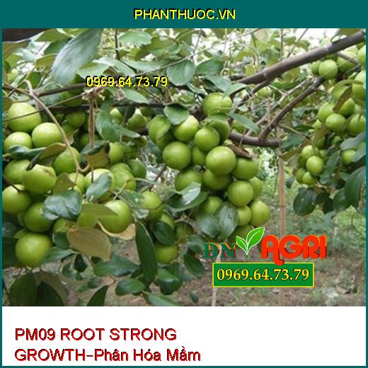 PHÂN BÓN LÁ PM09 ROOT STRONG GROWTH –Giúp Cây Phân Hóa Mầm, Ra Hoa Đồng Loạt