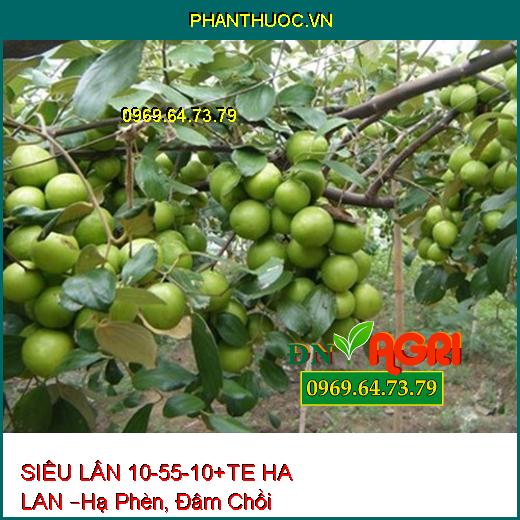 PHÂN BÓN LÁ CAO CẤP  SIÊU LÂN 10-55-10+TE HA LAN –Hạ Phèn, Đâm Chồi, Nhiều Hoa