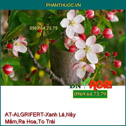 PHÂN BÓN LÁ NK SINH HỌC AT-ALGRIFERT-Xanh lá, Cây Khỏe, Nảy Mầm, Ra Hoa, To Trái