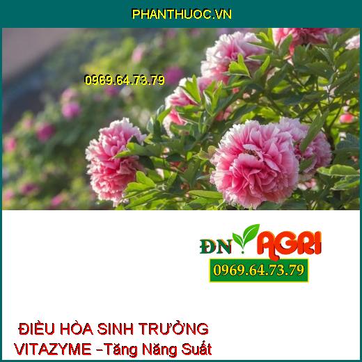 PHÂN BÓN LÁ VI LƯỢNG CÓ CHẤT ĐIỀU HÒA SINH TRƯỞNG VITAZYME –Tăng Năng Suất