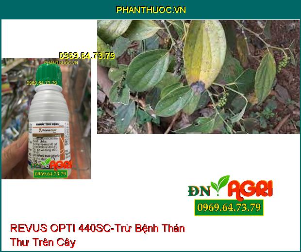 THUỐC TRỪ BỆNH REVUS OPTI 440SC – Trừ Nấm Bệnh, Bệnh Thán Thư , Mốc Sương