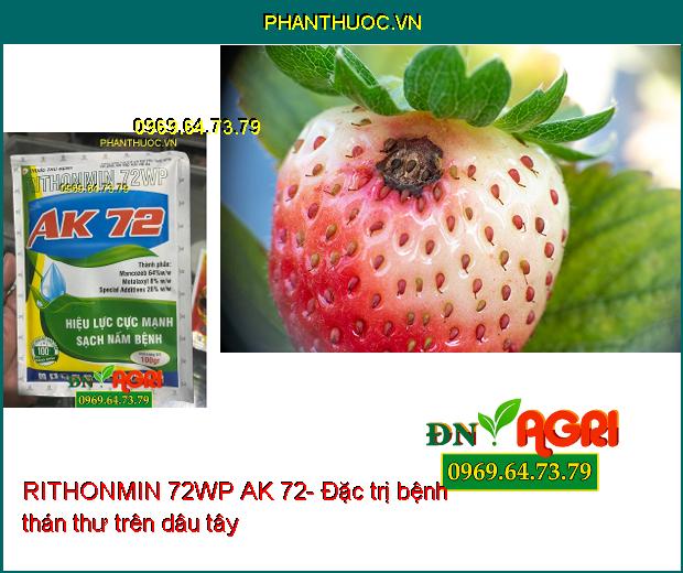 RITHONMIN 72WP AK 72- Đặc Trị Rỉ Sắt, Thán Thư, Mốc Sương, Phấn Trắng, ...