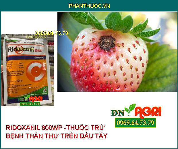 RIDOXANIL 800WP -THUỐC TRỪ BỆNH HẠI CÂY TRỒNG 100GR