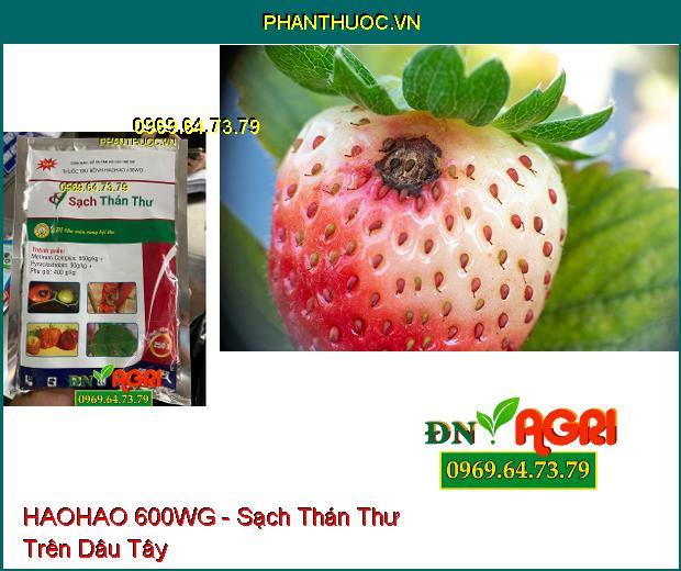 HAOHAO 600WG- Sạch Thán Thư, Phấn Trắng, Đạo Ôn, Sương Mai, Rỉ Sắt