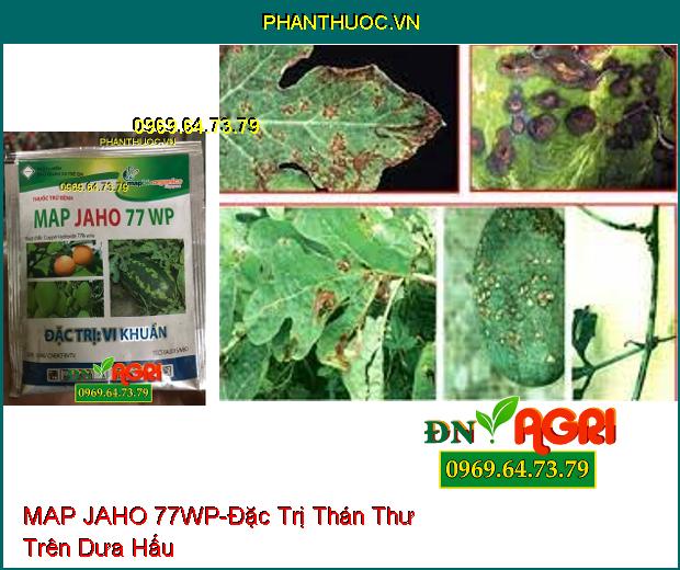 THUỐC TRỪ BỆNH MAP JAHO 77WP -Đặc Trị Nấm, Vi Khuẩn