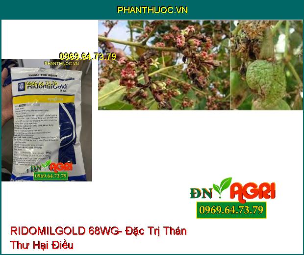 THUỐC TRỪ BỆNH RIDOMILGOLD 68WG- Đặc Trị Sương Mai, Thán Thư, Loét Sọc, Chết Nhanh, Đốm Lá