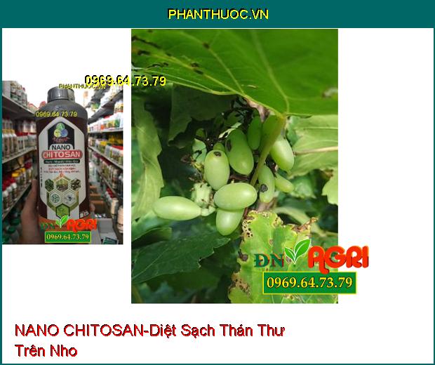 NANO CHITOSAN –Quét Sạch Thán Thư, Nấm Hồng, Các Loại Nấm Bệnh