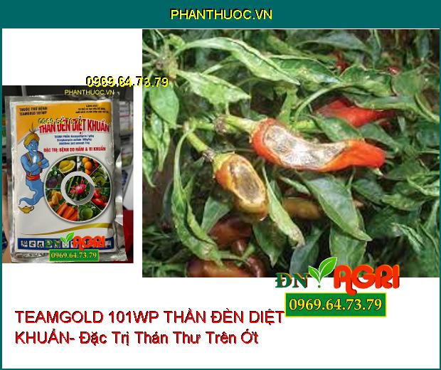 THUỐC TRỪ BỆNH TEAMGOLD 101WP THẦN ĐÈN DIỆT KHUẨN- Đặc Trị Nấm, Vi Khuẩn Trên Cây Trồng