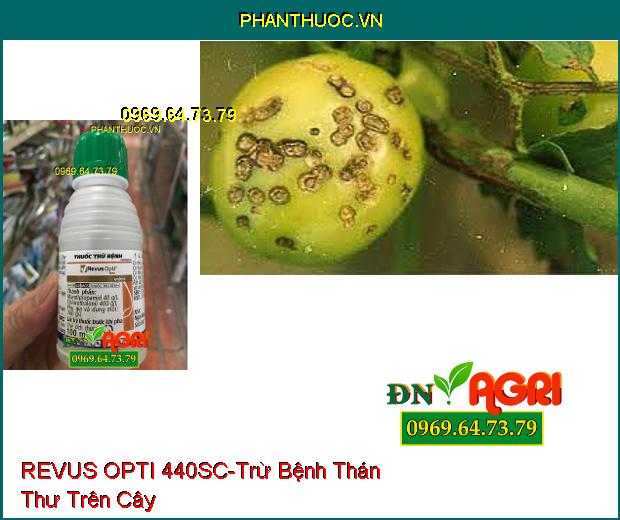 THUỐC TRỪ BỆNH REVUS OPTI 440SC – Trừ Nấm Bệnh, Bệnh Thán Thư , Mốc Sương