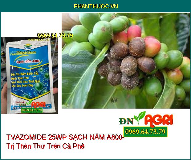 TVAZOMIDE 25WP SẠCH NẤM A800- Trị Ghẻ Sẹo Loét Cây, Sạch Thán Thư, Thối Hoa