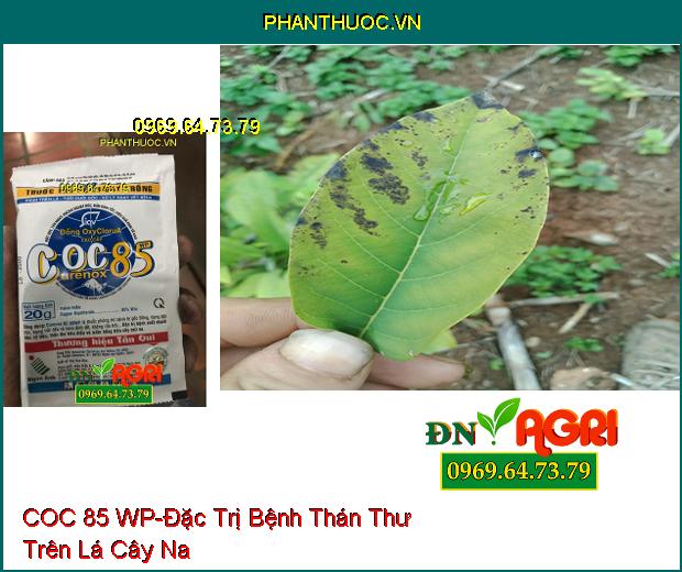 THUỐC TRỪ BỆNH COC 85 WP-Đặc Trị Bệnh Chết Nhanh, Bệnh Gốc Đồng