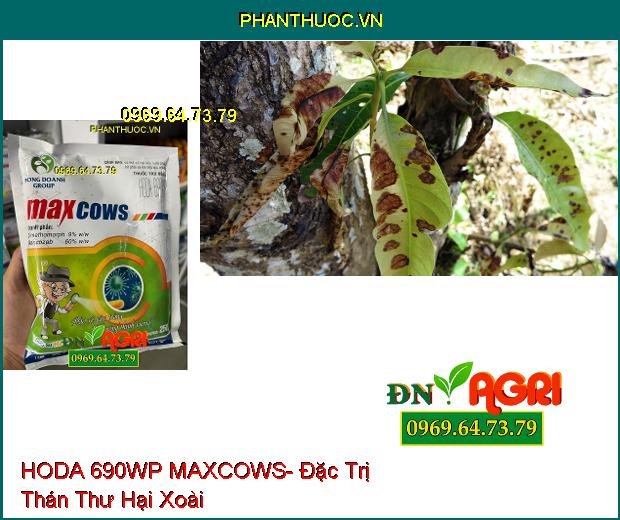 THUỐC TRỪ BỆNH HODA 690WP MAXCOWS- ĐẶC TRỊ THÁN THƯ, PHẤN TRẮNG GÂY HẠI TRÊN CÂY XOÀI