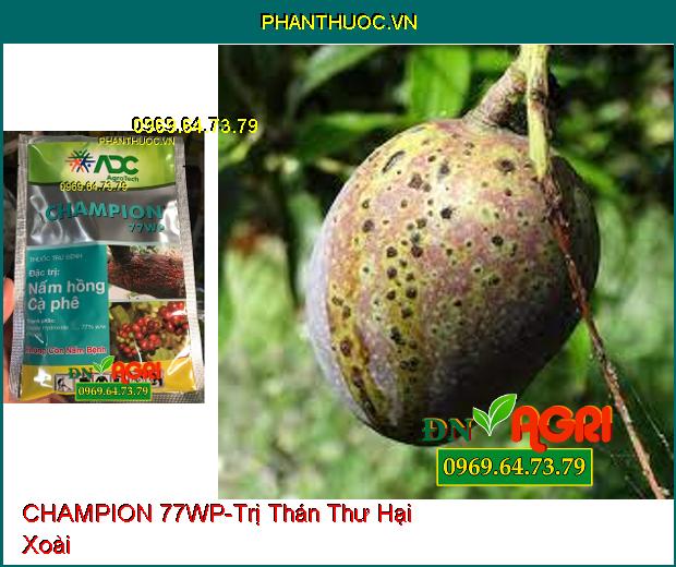 THUỐC TRỪ BỆNH CHAMPION 77WP – Phòng Trừ Các Loại Nấm, Vi Khuẩn Hại Cây