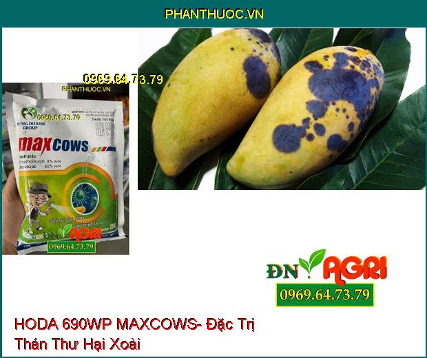 THUỐC TRỪ BỆNH HODA 690WP MAXCOWS- ĐẶC TRỊ THÁN THƯ, PHẤN TRẮNG GÂY HẠI TRÊN CÂY XOÀI