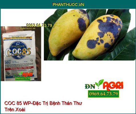 THUỐC TRỪ BỆNH COC 85 WP-Đặc Trị Bệnh Chết Nhanh, Bệnh Gốc Đồng