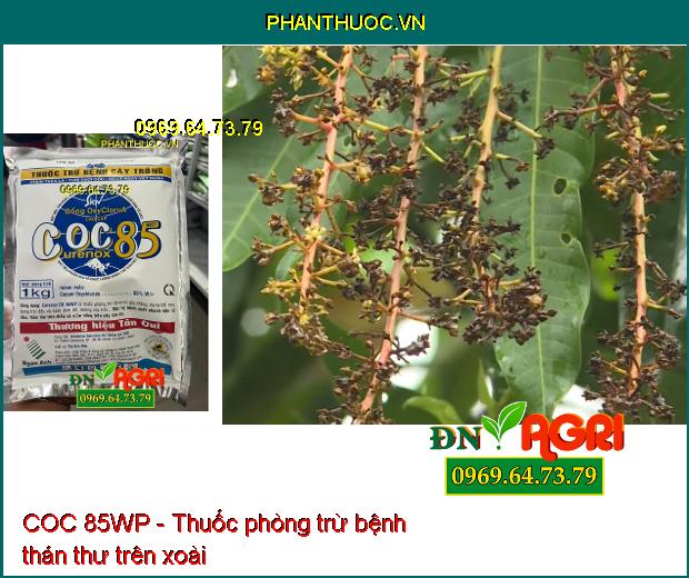 COC 85WP - Thuốc phòng trừ nấm bệnh