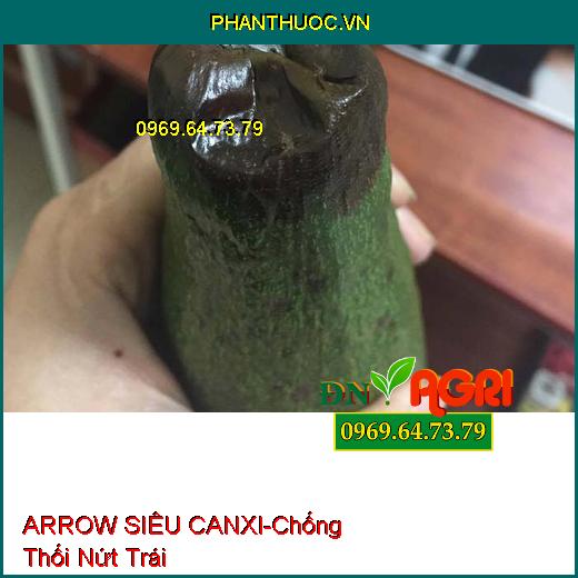 PHÂN BÓN LÁ TRUNG LƯỢNG ARROW SIÊU CANXI - Chống Thối Nứt Trái