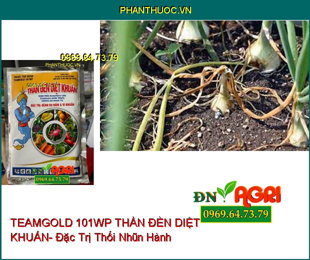 THUỐC TRỪ BỆNH TEAMGOLD 101WP THẦN ĐÈN DIỆT KHUẨN- Đặc Trị Nấm, Vi Khuẩn Trên Cây Trồng