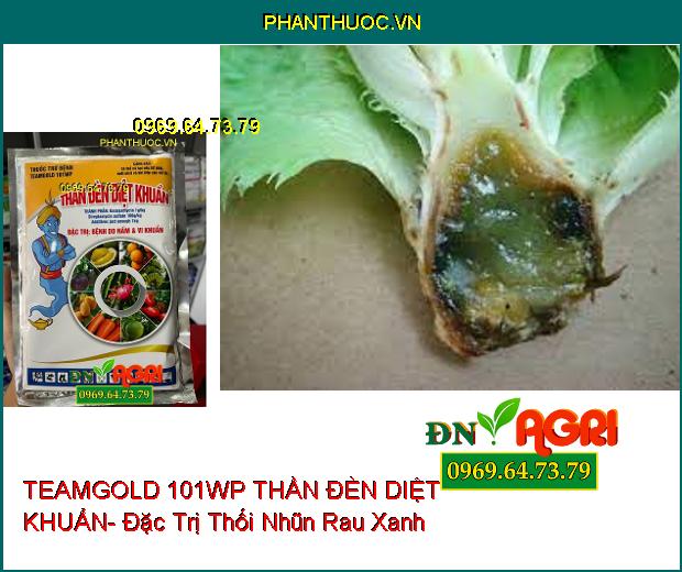 THUỐC TRỪ BỆNH TEAMGOLD 101WP THẦN ĐÈN DIỆT KHUẨN- Đặc Trị Nấm, Vi Khuẩn Trên Cây Trồng