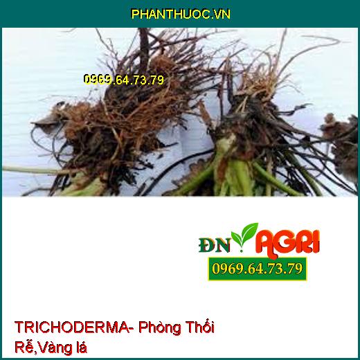 TRICHODERMA- Phòng Thối Rễ, Bật Chồi, Vàng lá, Chống Chết Cây