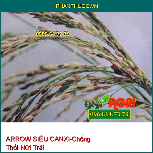 PHÂN BÓN LÁ TRUNG LƯỢNG ARROW SIÊU CANXI - Chống Thối Nứt Trái