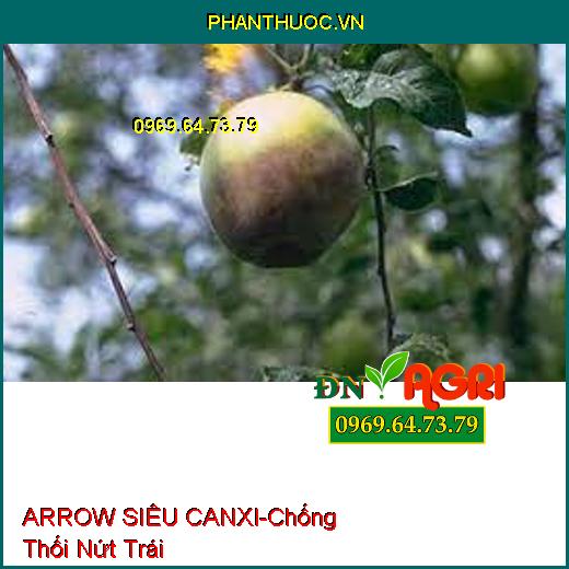 PHÂN BÓN LÁ TRUNG LƯỢNG ARROW SIÊU CANXI - Chống Thối Nứt Trái