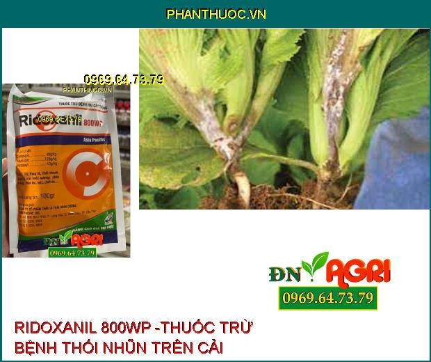 RIDOXANIL 800WP -THUỐC TRỪ BỆNH HẠI CÂY TRỒNG 100GR