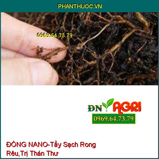 DUNG DỊCH ĐỒNG MAGIE ĐỒNG NANO-Tẩy Sạch Rong Rêu, Trị Thổi Ròng,Thán Thư