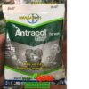 ANTRACOL 70WP Zinc -Ngừa Các Bệnh Do Nấm-Tăng Cường Dinh Dưỡng Cho Cây