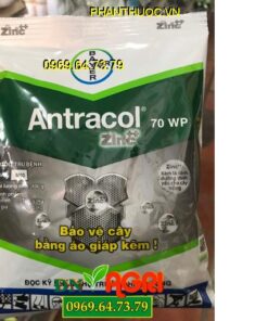 ANTRACOL 70WP Zinc -Ngừa Các Bệnh Do Nấm-Tăng Cường Dinh Dưỡng Cho Cây