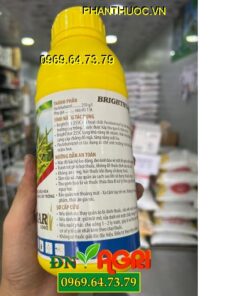 BRIGHTSTAR 25SC – Paclo Hợp Trí – Tạo Mầm hoa – Phân hoá mầm hoa