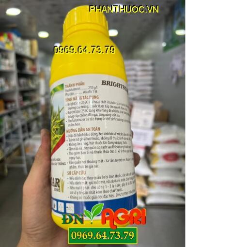 BRIGHTSTAR 25SC – Paclo Hợp Trí – Tạo Mầm hoa – Phân hoá mầm hoa