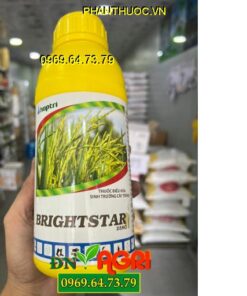 BRIGHTSTAR 25SC – Paclo Hợp Trí – Tạo Mầm hoa – Phân hoá mầm hoa