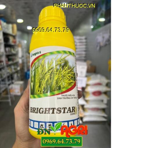 BRIGHTSTAR 25SC – Paclo Hợp Trí – Tạo Mầm hoa – Phân hoá mầm hoa