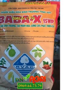 BABA-X 15WP – Kích Hình Thành Mầm Hoa – Phát Triển Củ – Cây Cứng Cáp