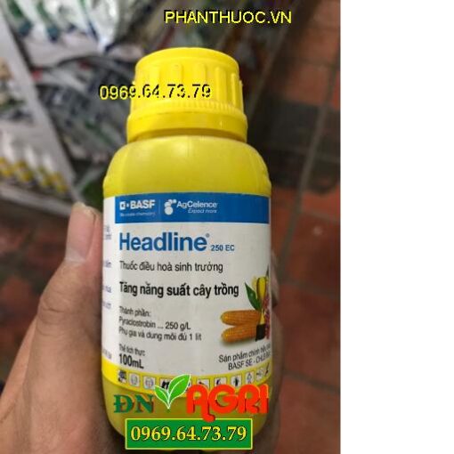 HEADLINE 250EC – Kích Thích Cây Đâm Chồi – Đẻ Nhánh Khỏe Lá Xanh Bền