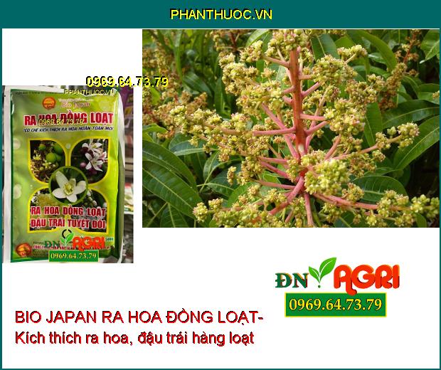 BIO JAPAN RA HOA ĐỒNG LOẠT- Kích Ra Hoa Đồng Loạt, Đậu Trái CaoBIO JAPAN RA HOA ĐỒNG LOẠT- Kích Ra Hoa Đồng Loạt, Đậu Trái Cao