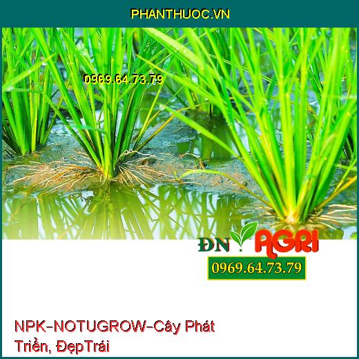 PHÂN BÓN NPK BỔ SUNG VI LƯỢNG – NOTUGROW –Cây Phát Triển Nhanh, Bóng Đẹp Trái