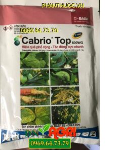 CABRIO-TOP 600WG – Đặc Trị Suơng Mai, Mốc Suơng, Rỉ Sắt, Thán Thư, Ghẻ Sẹo