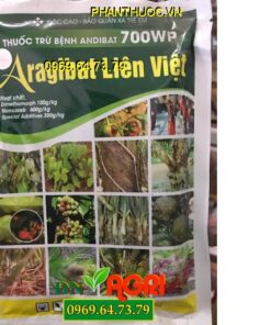 ARAGIBAT LIÊN VIỆT – Đặc Trị Sương Mai Thối Thân – Xì Mủ Chảy Gôm